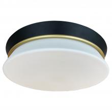 Vinci Lighting Inc. FM8039E-SB/BK - Flush Mount Satin Brass/Black