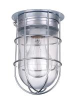 Canarm BL04CWG - Barn Lighting, Ceiling/Wall Mounting (with Guard), A19 Bulb, 100 Watts, 4 1/2&#34; x 7&#34;