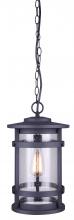 Canarm IOL343BK - DUFFY, 1 Lt Chain Pendant Outdoor, Seeded Glass, 100W Type A, 9 1/2&#34; W x 16 1/8&#34; H